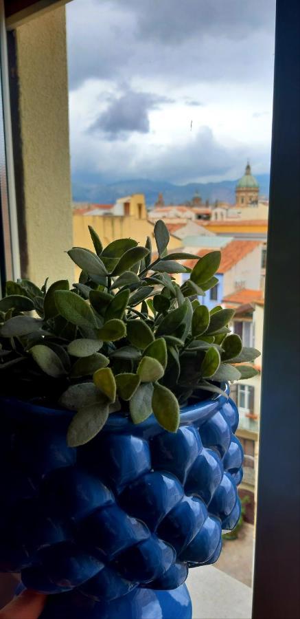 5 Cupole Apartamento